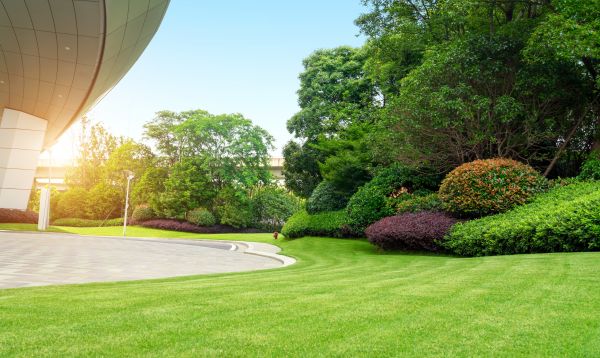 Cost of Commercial Lawn Mowing in Yakima