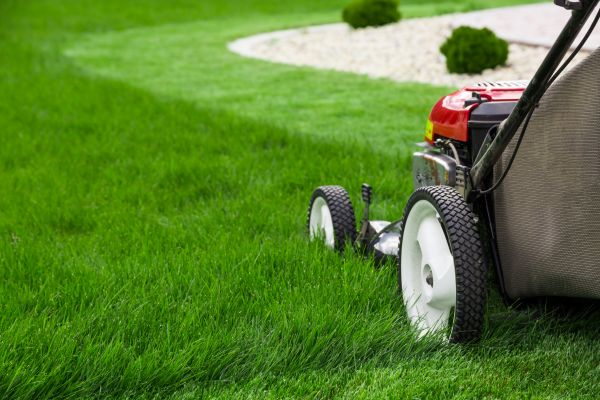 Cost of Mowing Service in Yakima