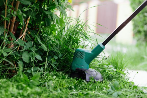 Cost of Weed Whacking in Yakima