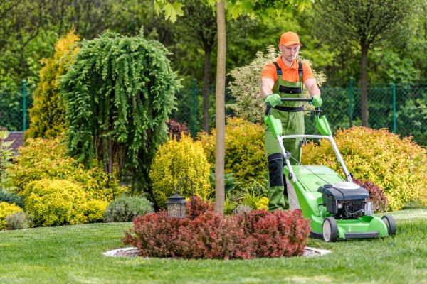 Cost of Yard Service in Yakima