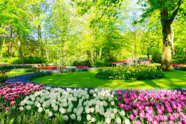 Cost of Spring Lawn Care in Yakima