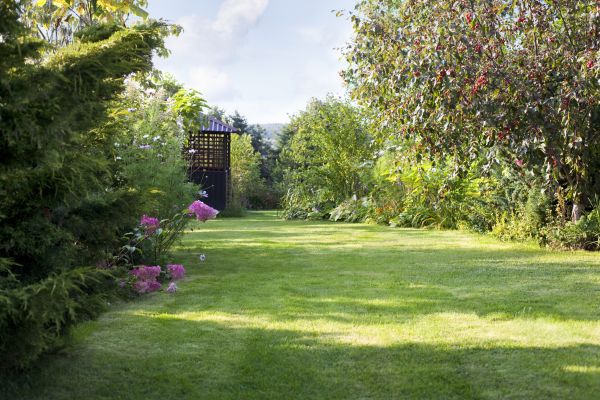Cost of Yard Upkeep Service in Yakima