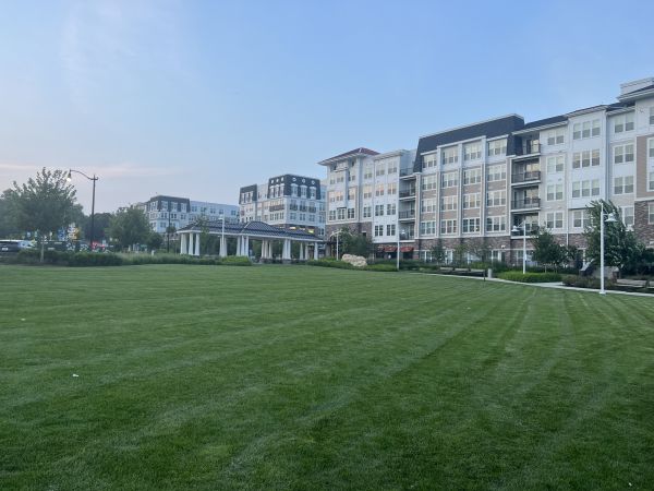Cost of Urban Lawn Care in Yakima