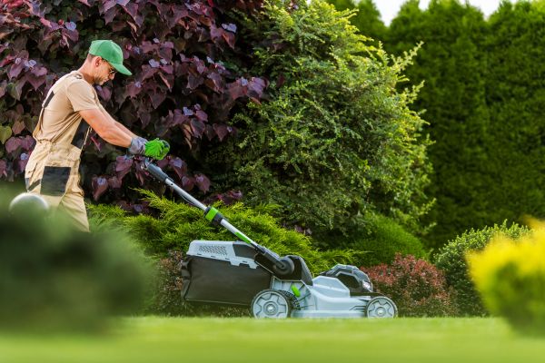 Cost of Lawn Management in Yakima