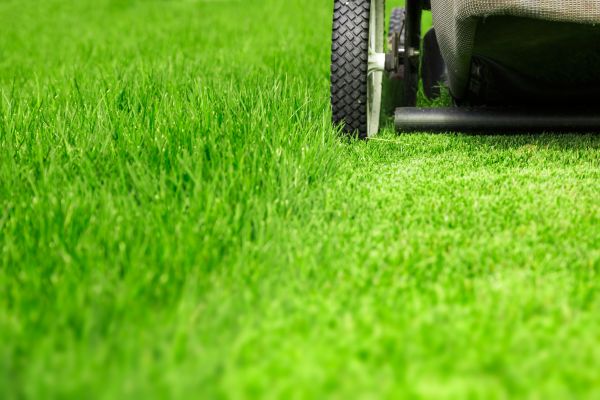 Cost of Weekly Lawn Care in Yakima