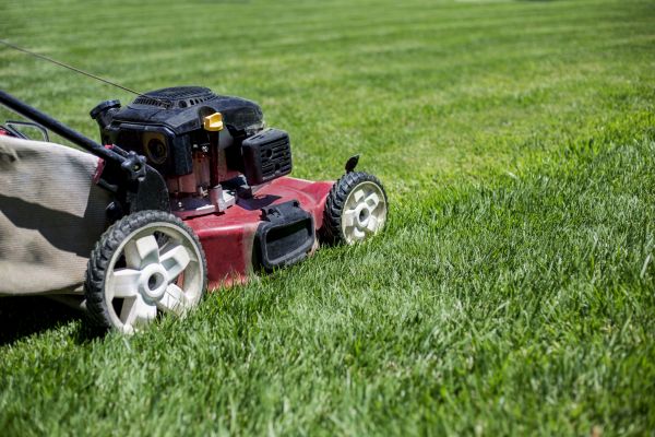 Cost of Routine Lawn Care in Yakima