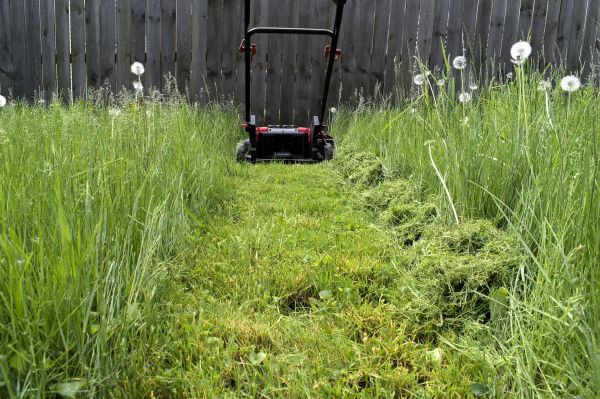 Cost of High Grass Mowing in Yakima