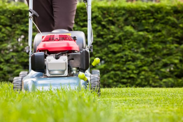 Cost of Grass Trimming Service in Yakima