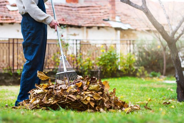Cost of Routine Lawn Maintenance in Yakima