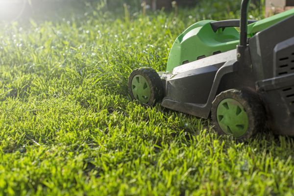 Cost of Lot Mowing in Yakima