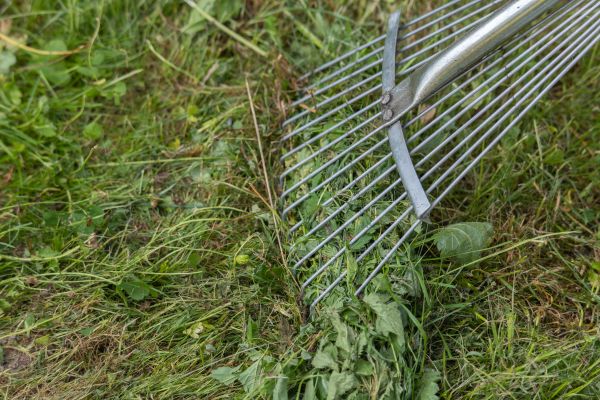 Cost of Thatch Raking in Yakima