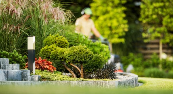 Cost of Residential Yard Maintenance in Yakima
