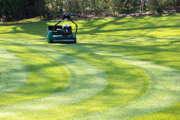 Cost of Business Lawn Mowing in Yakima
