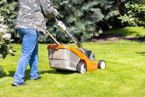 Cost of Springtime Lawn Care in Yakima