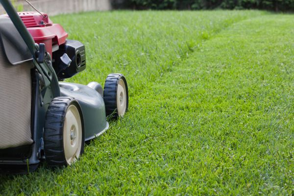 Cost of Spring Lawn Maintenance in Yakima