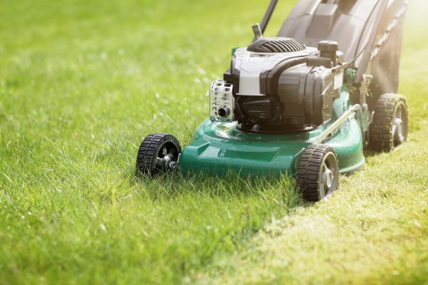 Cost of Spring Grass Trimming in Yakima
