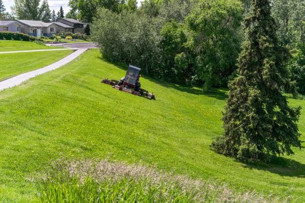 Cost of Sloped Area Mowing in Yakima