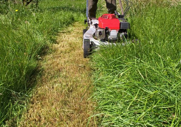 Cost of Leaf Mowing in Yakima
