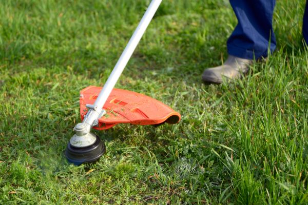 Cost of Lawn Weed Whacking in Yakima