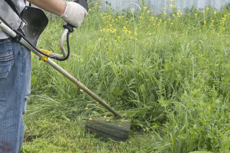 Tall Grass Cutting